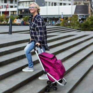 Wózek zakupowy Expert Premium 604353