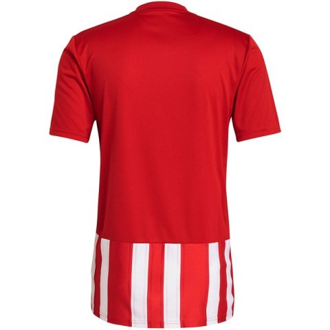 Koszulka adidas Striped 21 Jersey M GN7624 Koszulka adidas Striped 21 Jersey M GN7624