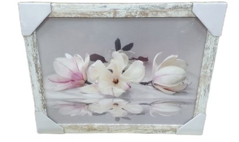 Obraz 30x40cm KWIAT | ZD182 Obraz 30x40cm KWIAT | ZD182
