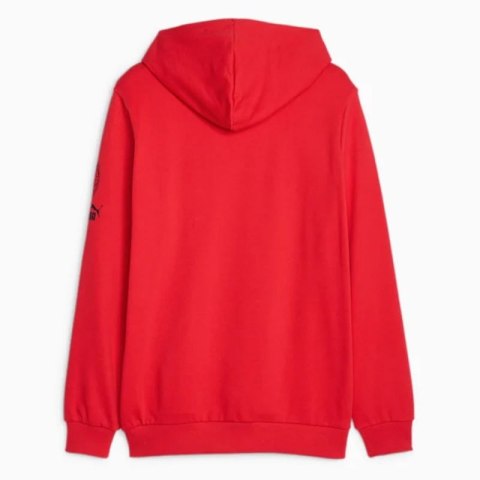Bluza Puma AC Milan FtbCore Graphic Hoody M 772316-01 Bluza Puma AC Milan FtbCore Graphic Hoody M 772316-01