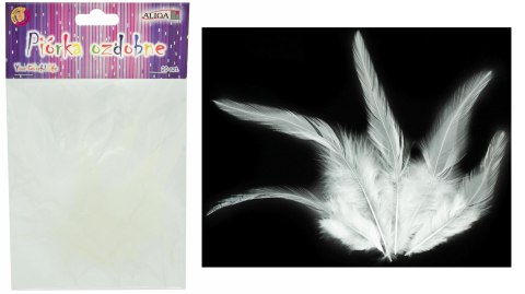 Piórka op. 20 szt. 14,5 cm kolor biały | P-6579 Piórka op. 20 szt. 14,5 cm kolor biały | P-6579