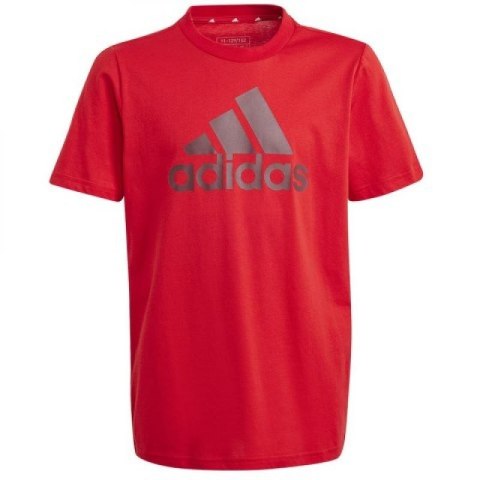 Koszulka adidas Big Logo Tee Jr IJ6262 Koszulka adidas Big Logo Tee Jr IJ6262