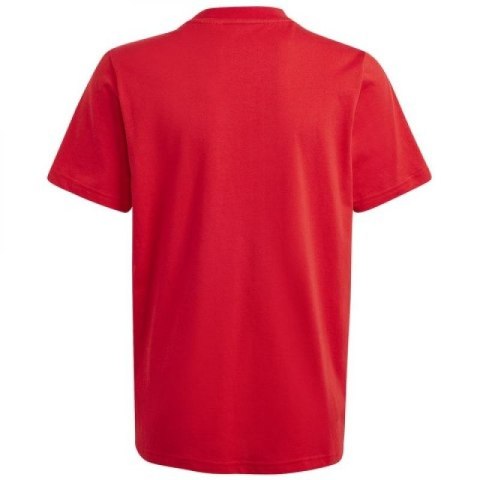 Koszulka adidas Big Logo Tee Jr IJ6262 Koszulka adidas Big Logo Tee Jr IJ6262
