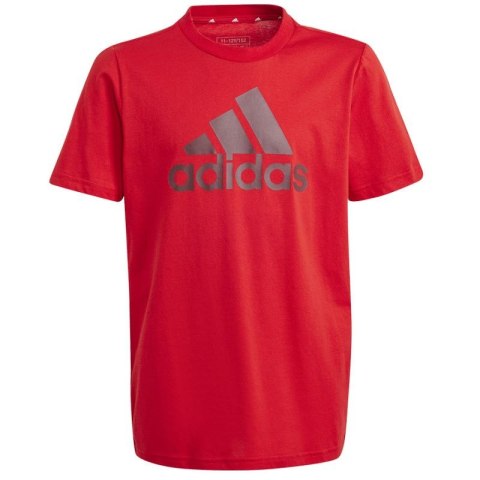 Koszulka adidas Big Logo Tee Jr IJ6262 Koszulka adidas Big Logo Tee Jr IJ6262