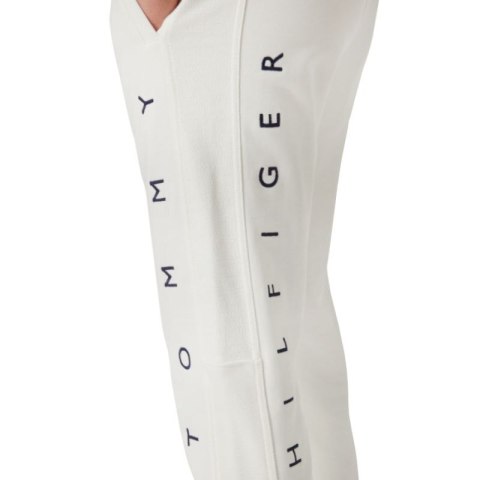 Spodnie Tommy Hilfiger Mono M MW0MW22154 Spodnie Tommy Hilfiger Mono M MW0MW22154