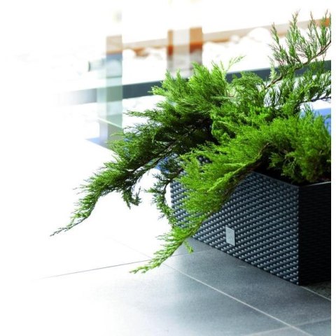 Skrzynka rattan Rato DRTC500-S433 51x19 h19 - ANTRACYT Skrzynka rattan Rato DRTC500-S433 51x19 h19 - ANTRACYT