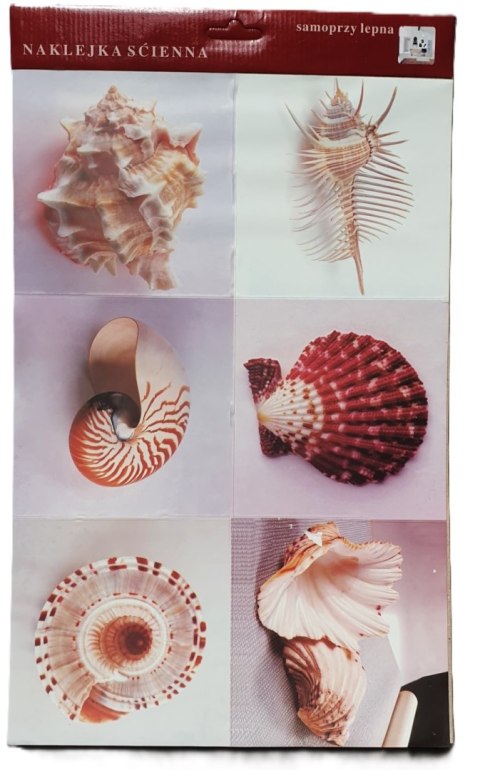 Naklejki samoprzylepne muszle 17,5 x 17,5 cm - 6 szt. Naklejki samoprzylepne muszle 17,5 x 17,5 cm - 6 szt.