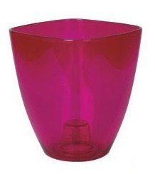 Osłonka do storczyka 10 cm transparentna amarant Osłonka do storczyka 10 cm transparentna amarant