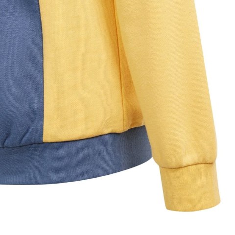 Bluza adidas Cb Ft Hd Jr IS2689 Bluza adidas Cb Ft Hd Jr IS2689