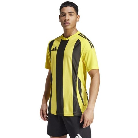 Koszulka adidas Striped 24 JSY M IW2146 Koszulka adidas Striped 24 JSY M IW2146