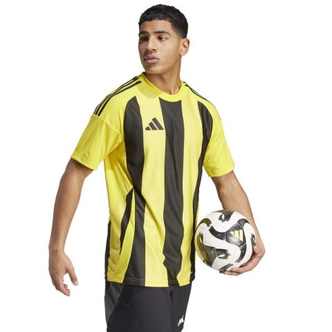 Koszulka adidas Striped 24 JSY M IW2146 Koszulka adidas Striped 24 JSY M IW2146