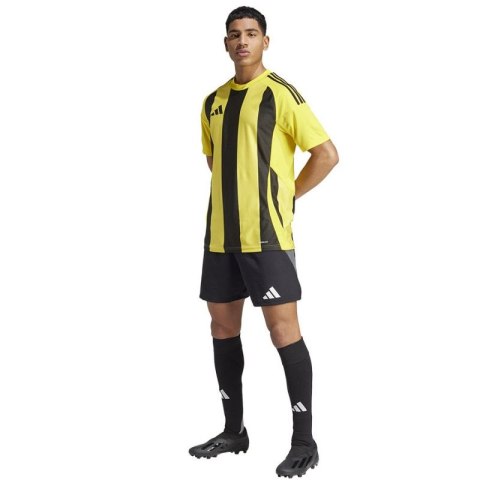 Koszulka adidas Striped 24 JSY M IW2146 Koszulka adidas Striped 24 JSY M IW2146