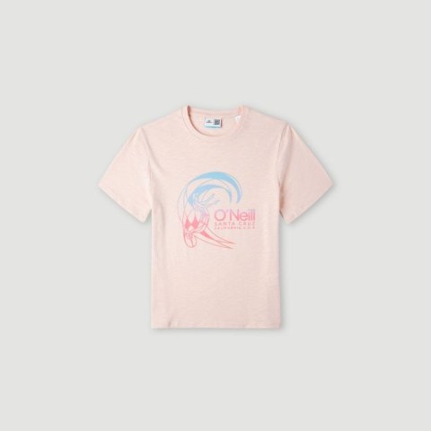 Koszulka O'Neill Circle Surfer T-Shirt Jr 92800546141 Koszulka O'Neill Circle Surfer T-Shirt Jr 92800546141