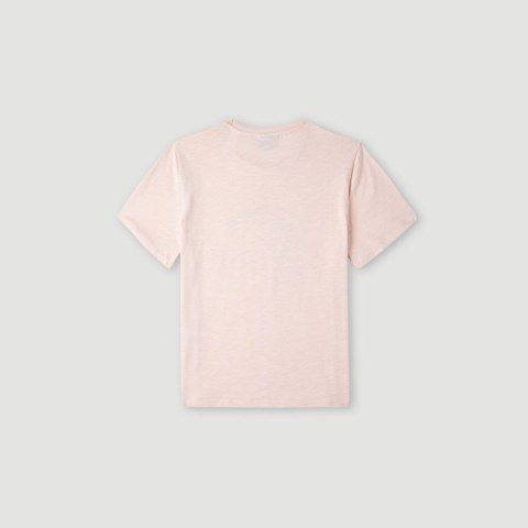 Koszulka O'Neill Circle Surfer T-Shirt Jr 92800546141 Koszulka O'Neill Circle Surfer T-Shirt Jr 92800546141