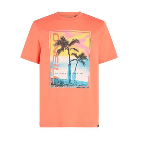 Koszulka O'Neill Jack Neon T-Shirt M 92800613602 Koszulka O'Neill Jack Neon T-Shirt M 92800613602