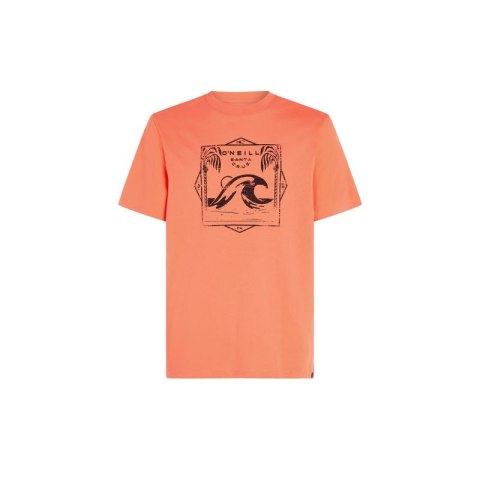 Koszulka O'Neill Mix & Match Wave T-Shirt M 92800613917