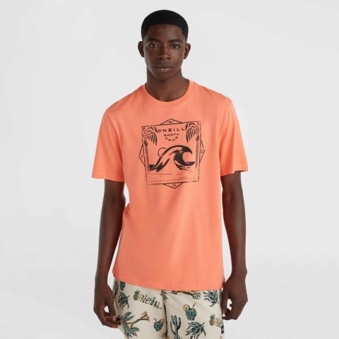 Koszulka O'Neill Mix & Match Wave T-Shirt M 92800613917