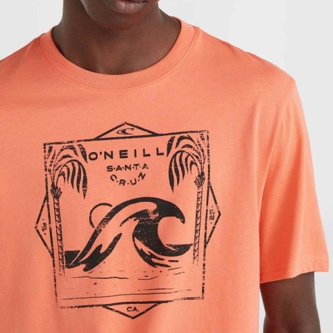 Koszulka O'Neill Mix & Match Wave T-Shirt M 92800613917