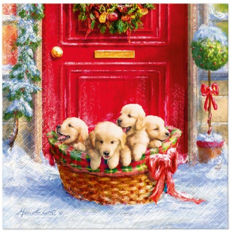 Serwetki 33x33cm Christmas Puppies 20szt. | 76-49 Serwetki 33x33cm Christmas Puppies 20szt. | 76-49