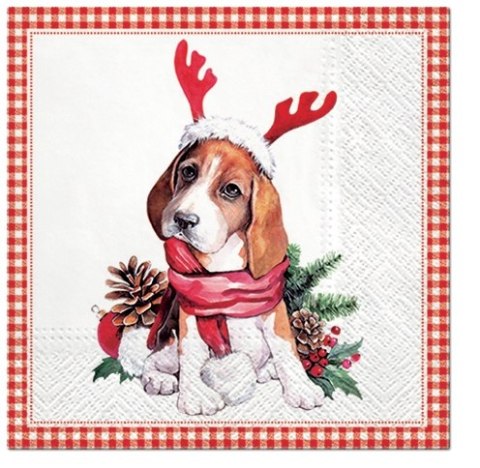 Serwetki papierowe 33x33cm SDL Santa Dog 20szt. | 74-37 Serwetki papierowe 33x33cm SDL Santa Dog 20szt. | 74-37