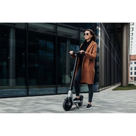 Hulajnoga Scooter Plus JSP-120-0 Hulajnoga Scooter Plus JSP-120-0