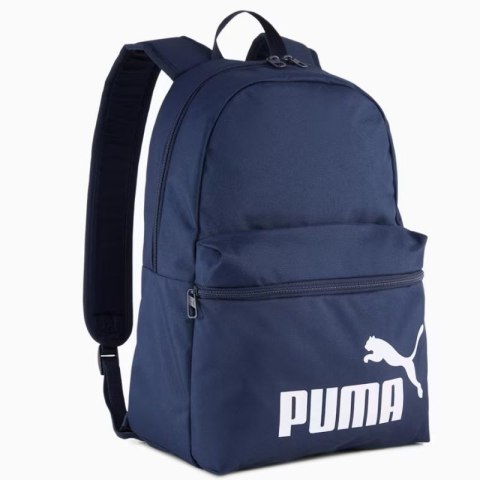 Pleack Puma Phase 091164-02 Pleack Puma Phase 091164-02