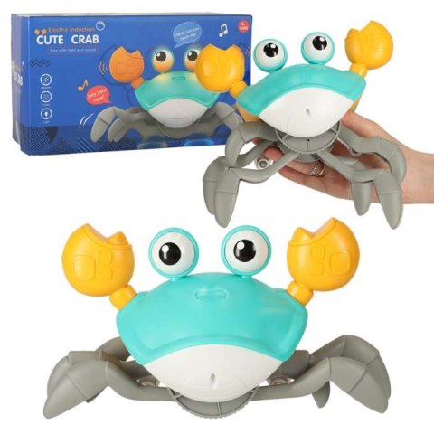 Krab pełzający interaktywny z dźwiękiem ZIELONY KX4896_1 Krab pełzający interaktywny z dźwiękiem ZIELONY KX4896_1