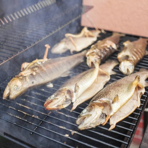 Zrębki do wędzenia / grillowania, buk, 450 g, kl. 8 | 780830 Zrębki do wędzenia / grillowania, buk, 450 g, kl. 8 | 780830