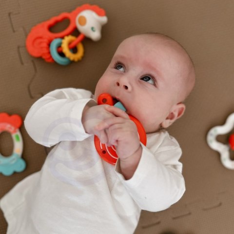 WOOPIE BABY Zestaw Gryzaków Grzechotek Sensorycznych WOOPIE BABY Zestaw Gryzaków Grzechotek Sensorycznych