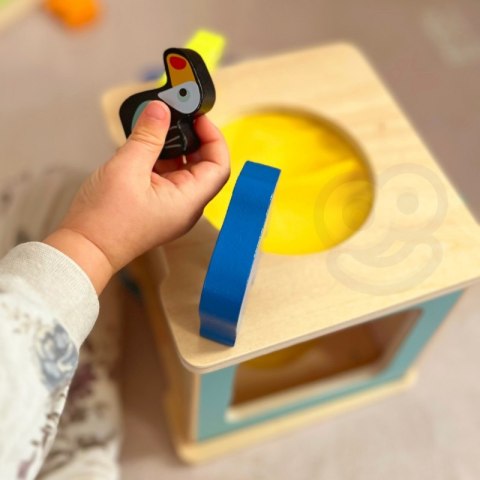 TOOKY TOY Box Pudełko XXL Montessori Edukacyjne 7w1 Sensoryczne 31-36 Mies. TOOKY TOY Box Pudełko XXL Montessori Edukacyjne 7w1 Sensoryczne 31-36 Mies.