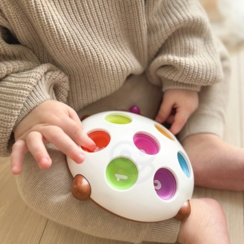 WOOPIE Jeżyk Pop-it Cyferki Fidget Toys WOOPIE Jeżyk Pop-it Cyferki Fidget Toys