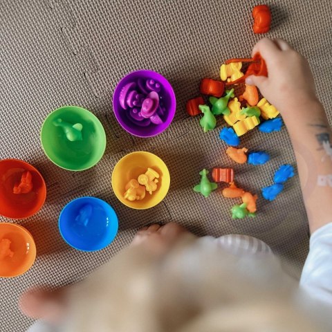 WOOPIE Gra Edukacyjna Montessori Sorter Kolorów Pojazdy 44 el. WOOPIE Gra Edukacyjna Montessori Sorter Kolorów Pojazdy 44 el.