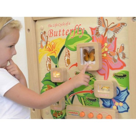 MASTERKIDZ Tablica Edukacyjna Ścienna Cykl Życia Motylka MASTERKIDZ Tablica Edukacyjna Ścienna Cykl Życia Motylka