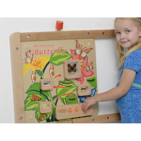 MASTERKIDZ Tablica Edukacyjna Ścienna Cykl Życia Motylka MASTERKIDZ Tablica Edukacyjna Ścienna Cykl Życia Motylka