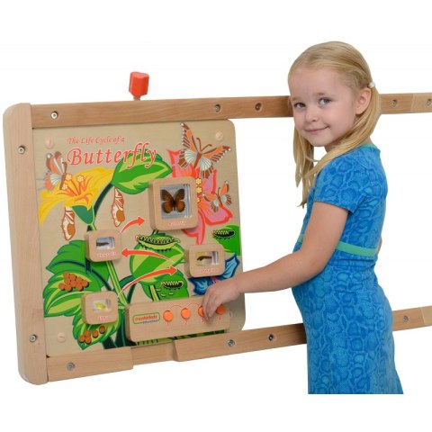 MASTERKIDZ Tablica Edukacyjna Ścienna Cykl Życia Motylka MASTERKIDZ Tablica Edukacyjna Ścienna Cykl Życia Motylka