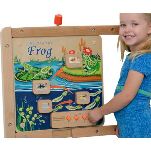 MASTERKIDZ Tablica Edukacyjna Ścienna Flex Montessori Cykl Życia Żaby MASTERKIDZ Tablica Edukacyjna Ścienna Flex Montessori Cykl Życia Żaby