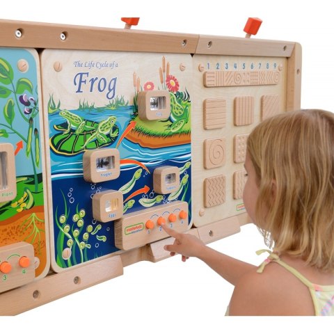 MASTERKIDZ Tablica Edukacyjna Ścienna Flex Montessori Cykl Życia Żaby MASTERKIDZ Tablica Edukacyjna Ścienna Flex Montessori Cykl Życia Żaby