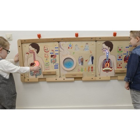 MASTERKIDZ Tablica Edukacyjna Układ Trawienny Montessori MASTERKIDZ Tablica Edukacyjna Układ Trawienny Montessori