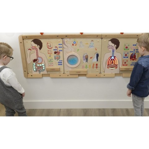 MASTERKIDZ Tablica Edukacyjna Układ Trawienny Montessori MASTERKIDZ Tablica Edukacyjna Układ Trawienny Montessori