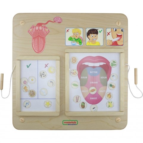 MASTERKIDZ Tablica Edukacyjna Zmysł Smaku Montessori MASTERKIDZ Tablica Edukacyjna Zmysł Smaku Montessori