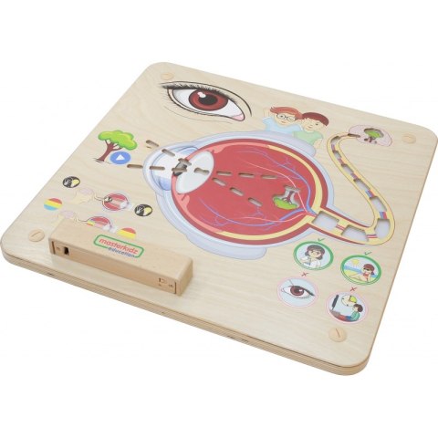 MASTERKIDZ Tablica Edukacyjna Zmysł Wzroku Montessori MASTERKIDZ Tablica Edukacyjna Zmysł Wzroku Montessori