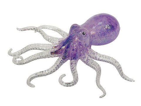 Gniotek ośmiornica Gniotek ośmiornica