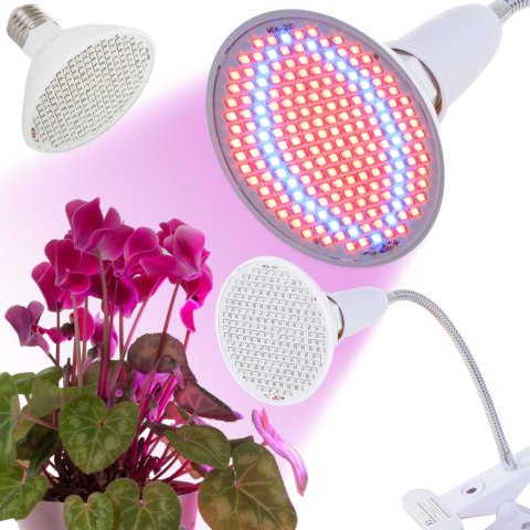Lampa panel 200 led do uprawy roślin 20w wzrostu Lampa panel 200 led do uprawy roślin 20w wzrostu