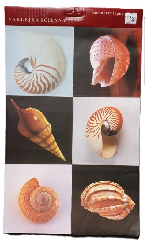 Naklejki samoprzylepne muszle 17,5 x 17,5 cm - 6 szt. Naklejki samoprzylepne muszle 17,5 x 17,5 cm - 6 szt.