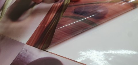 Naklejki samoprzylepne muszle 17,5 x 17,5 cm - 6 szt. Naklejki samoprzylepne muszle 17,5 x 17,5 cm - 6 szt.
