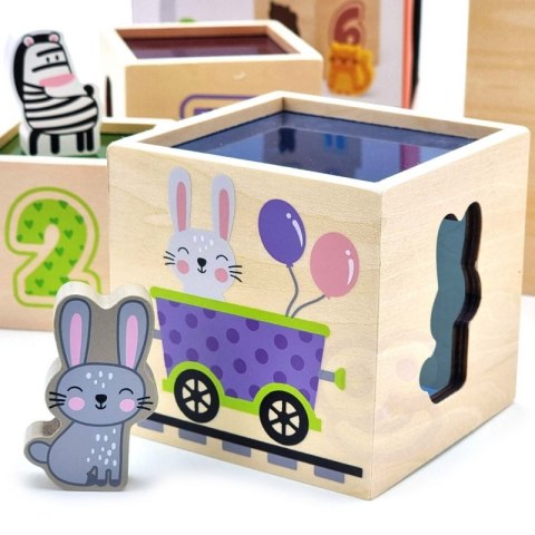 VIGA Drewniana Piramidka Układanka Klocki Sorter Montessori VIGA Drewniana Piramidka Układanka Klocki Sorter Montessori