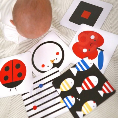 TOOKY TOY Box Pudełko XXL Montessori Edukacyjne 7w1 Sensoryczne 0-2 Mies TOOKY TOY Box Pudełko XXL Montessori Edukacyjne 7w1 Sensoryczne 0-2 Mies