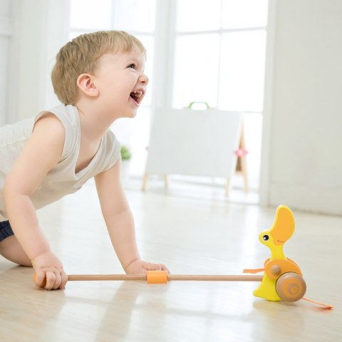 Classic World EKO Wooden Duck Pusher Classic World EKO Wooden Duck Pusher