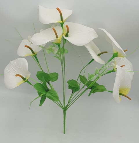 Bukiet kwiaty kalie 10 kwiatów białe 40 cm Bukiet kwiaty kalie 10 kwiatów białe 40 cm