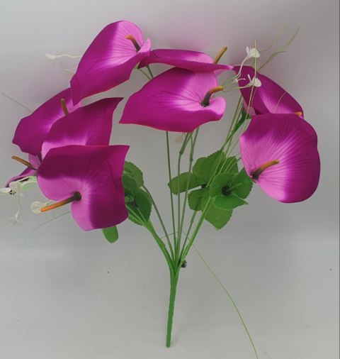 Bukiet kwiaty kalie 10 kwiatów fioletowe 40 cm Bukiet kwiaty kalie 10 kwiatów fioletowe 40 cm